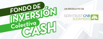 FONDO DE INVERSIÓN COLECTIVA CASH