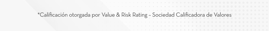 *Calificación otorgada por Value & Risk Rating - Sociedad Calificadora de Valores
