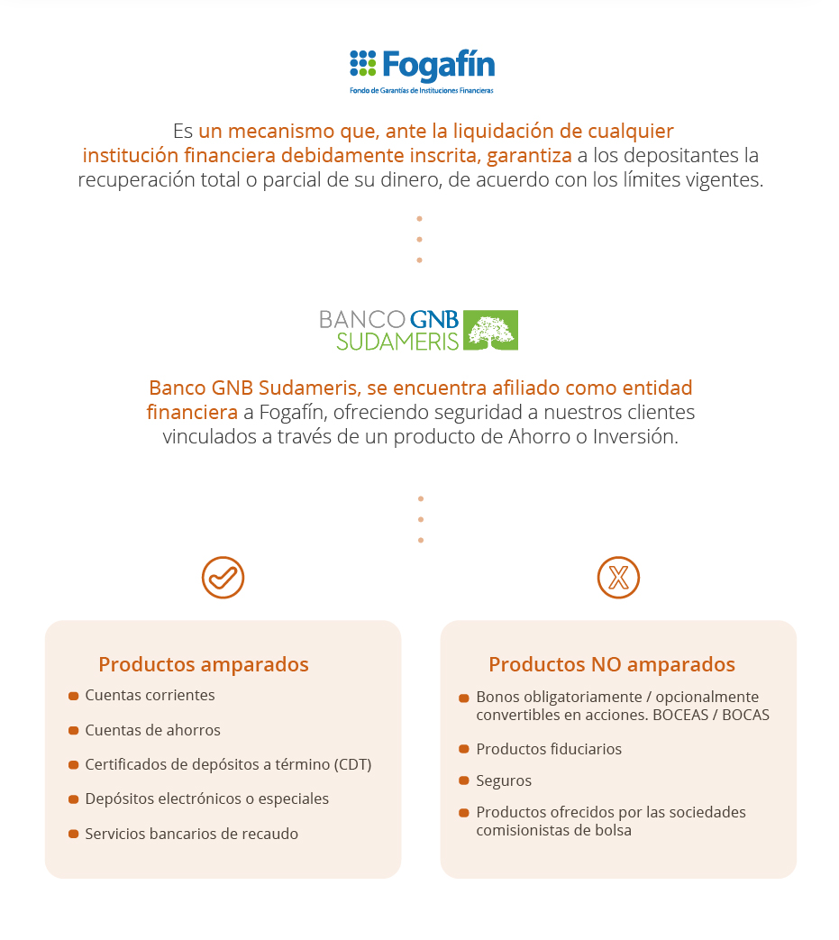 Boletin