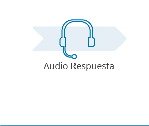 Audio Respuesta
