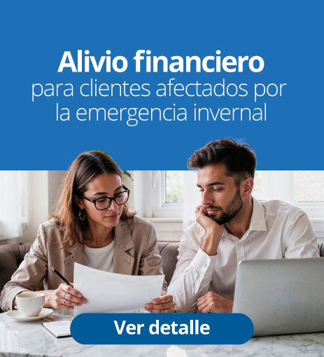 Banner emergencia invernal