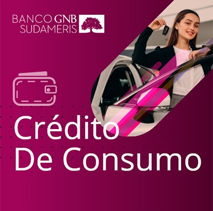 Programa de acompañamiento a Deudores - PAD