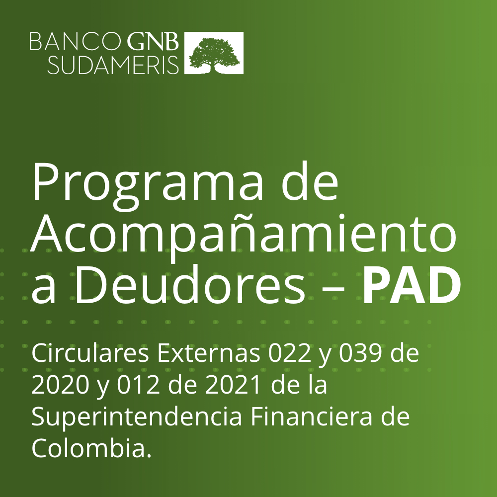 Programa de acompañamiento a Deudores - PAD